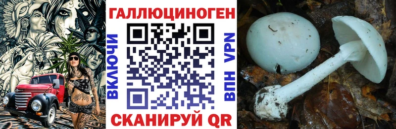 OMG маркетплейс  купить наркоту  Волчанск  Псилоцибиновые грибы ЛСД 